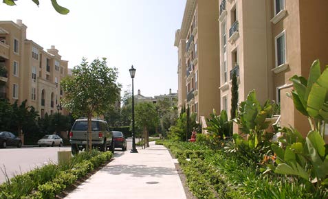 Landscaping 2_Buffering